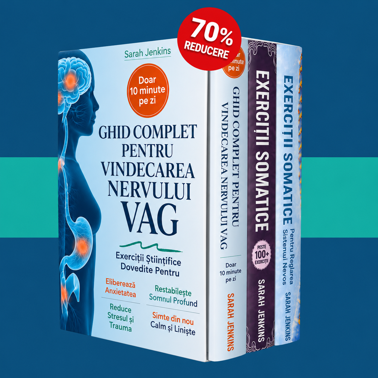 Ghid de Vindecare a Nervului Vag + 2 BONUSURI